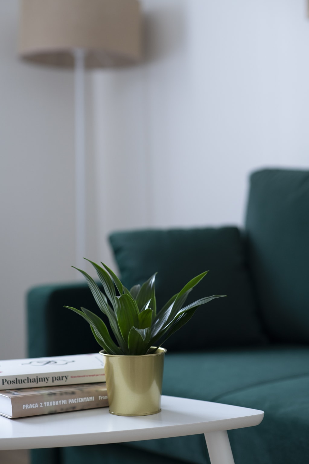 Gabinet - roślina na stoliku